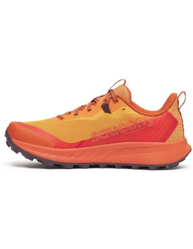 Achetez les Saucony Peregrine 15 S20990-240 – Trail, confort et stabilité garantis !