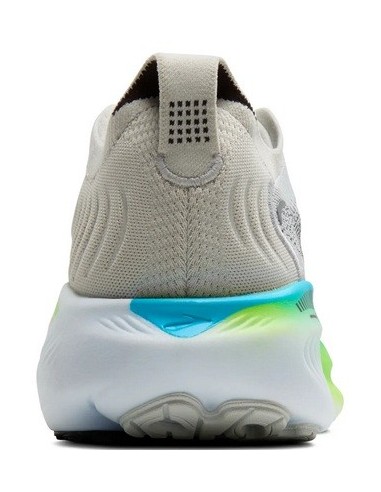 Brooks Adrenaline GTS 25 Oyster/Green Gecko/Blue  110454-033