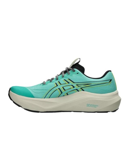 Asics GT-2000 14 TR 1011c219-300