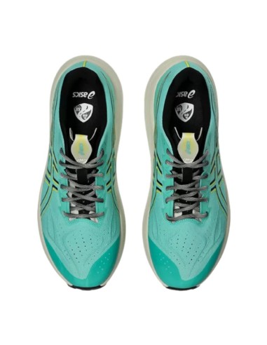 Asics GT-2000 14 TR 1011c219-300