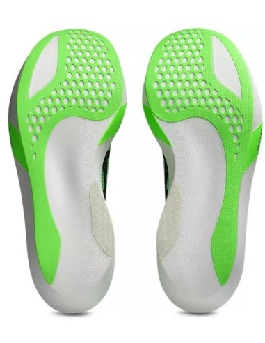 Asics Metaspeed Sky Tokyo 1013a162-300