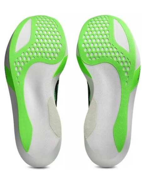Asics Metaspeed Sky Tokyo 1013a162-300